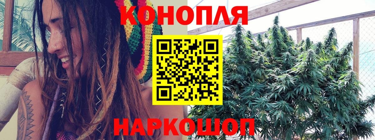Шишки марихуана SATIVA & INDICA  Канабис White Widow  Гусев  Вход с VPN  Марихуана марихуана 